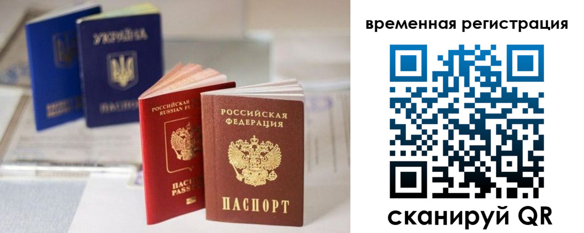 прописка поиск в Зеленодольске